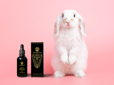 VetHealth Broad Spectrum oil for bunnies? Of course!