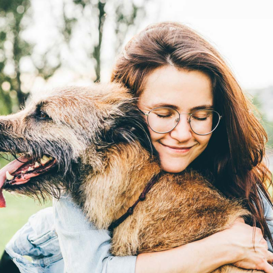 Briga za starije pse